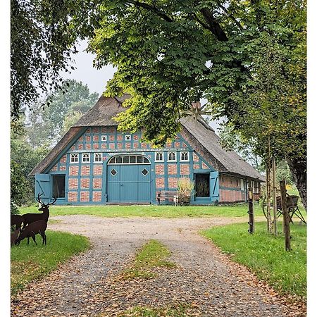Ferienwohnung - De Deelstuuv Worpswede Zewnętrze zdjęcie